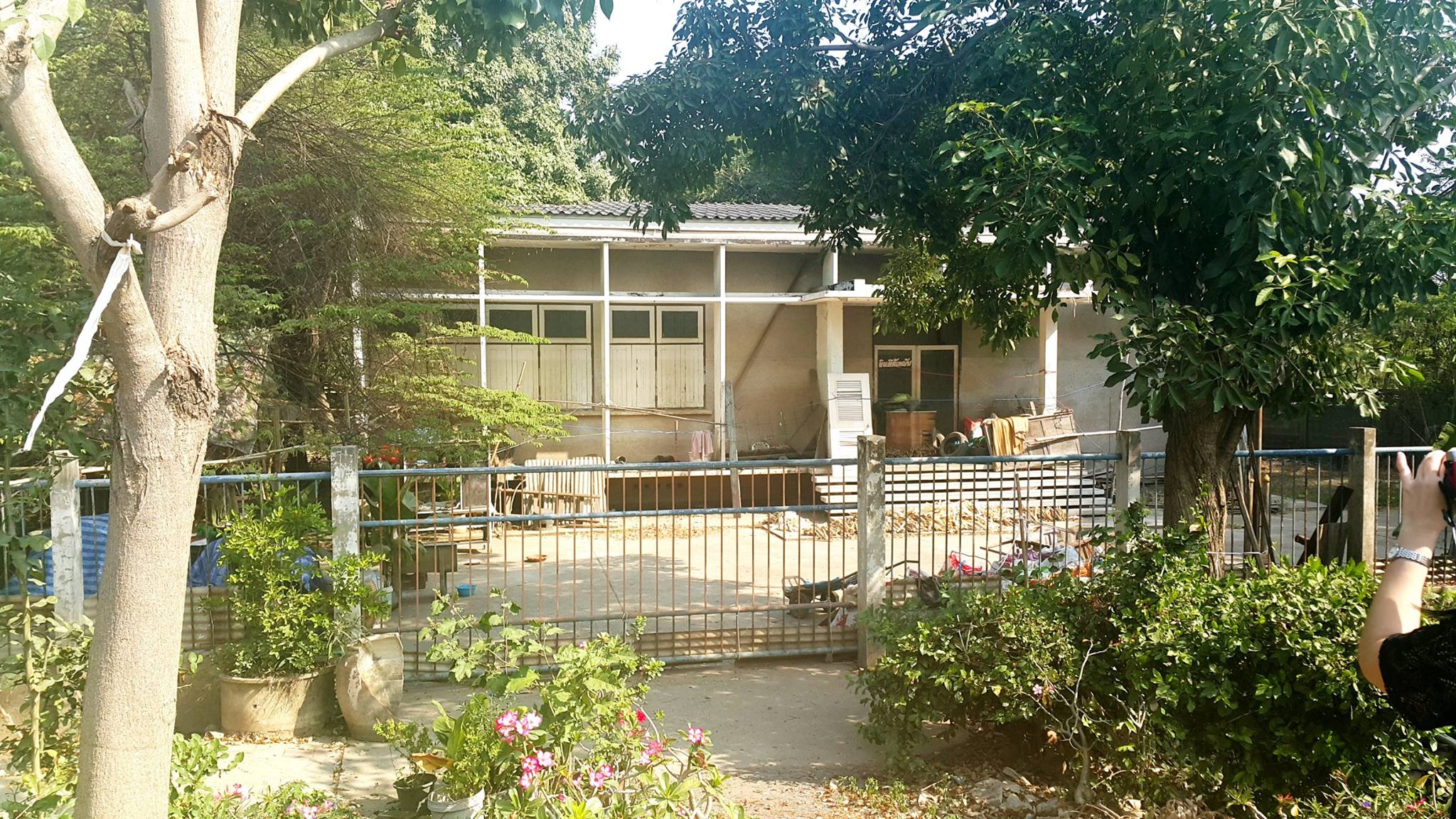 01.jpg